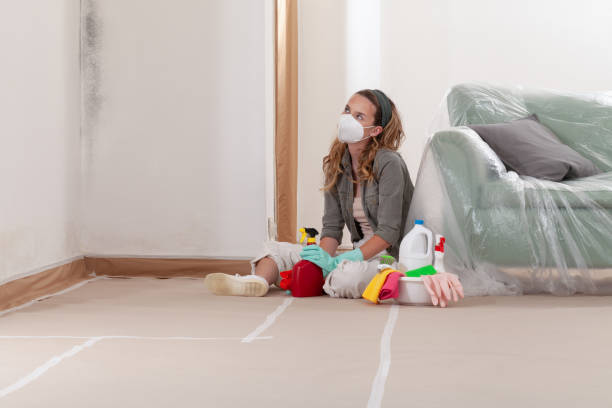 Reliable Crawl Space Mold Removal contractor in Western Springs, IL by WQB Mold Removal